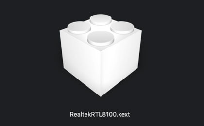 RealtekRTL8100.kext