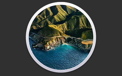 macOS Big Sur 11.0（20A4299v） Beta Developer cdr 镜像