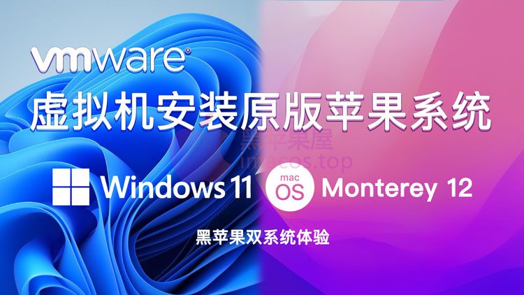 零基础完整2022最新VMware安装macOS Monterey官方原版系统Windows11环境下VMware Workstation 16 Pro虚拟机黑苹果双系统安装