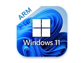 ARM Windows_11_22H2_64ARM_ChnSimp_Pro.iso