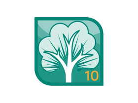 RootsMagic 10 v10.0.7一款好用的家谱软件