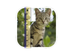 SizeMyPics v1.8.1 一款照片管理应用程序