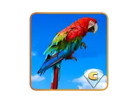 Наша прекрасная Земля 8 Коллекционное Издание 1.0