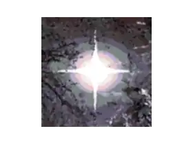 CARIMARA: Beneath the forlorn limbs 加勒比海：在凄凉的枝干下 2025.10.09