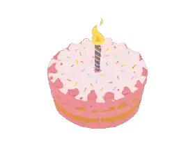 Bittersweet Birthday 苦乐参半的生日 1.0b