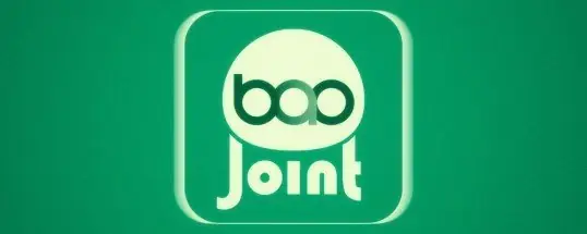 BAO Joint for Mac v1.0.4 fix 宝安联合