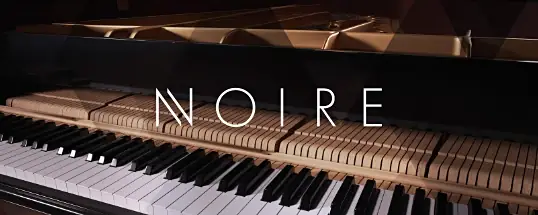 Native Instruments Noire KONTAKT for Mac v1.2.1