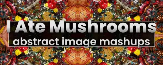 I Ate Mushrooms for Mac v1.7.15 我吃了蘑菇
