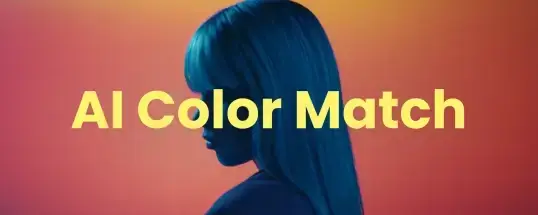 AI Color Match for Mac v1.3.1 色彩匹配