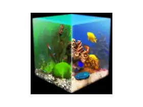 Behind Glass: Aquarium Simulator for Mac v1.5 玻璃背后水族馆模拟器