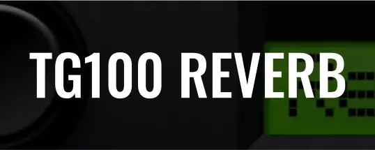 Martinic TG100 Reverb for Mac v1.0.0 为音轨添加90年代经典混响音色