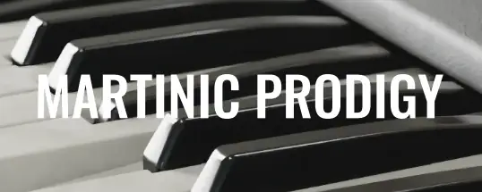 Martinic Prodigy for Mac v1.0.0 忠实地再现经典Moog Prodigy模拟音色，适合电子音乐制作