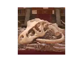 DinoBones: Tidy Up the Museum for Mac v5.10.0 整理散落的恐龙骨骼，重建博物馆展览